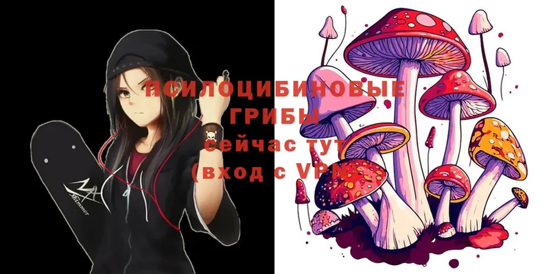 Псилоцибиновые грибы Cubensis Майский